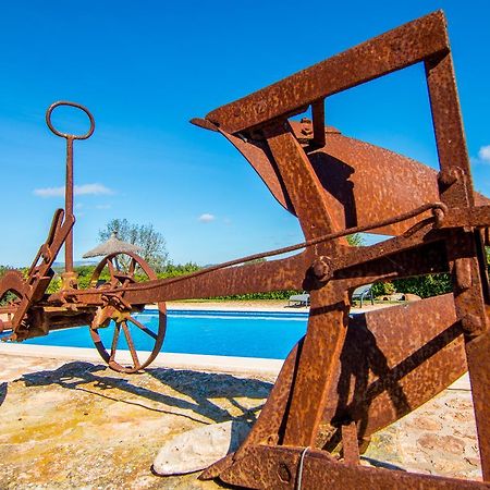 Agroturismo Petit Hotel Son Perdiu - Adults Only Sa Ràpita Exteriér fotografie